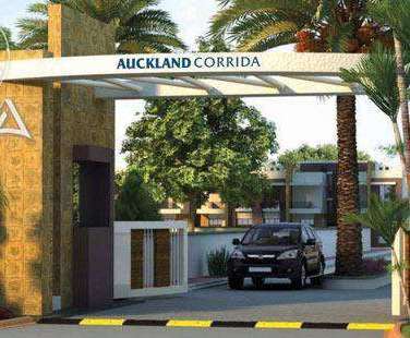 auckaland corridor